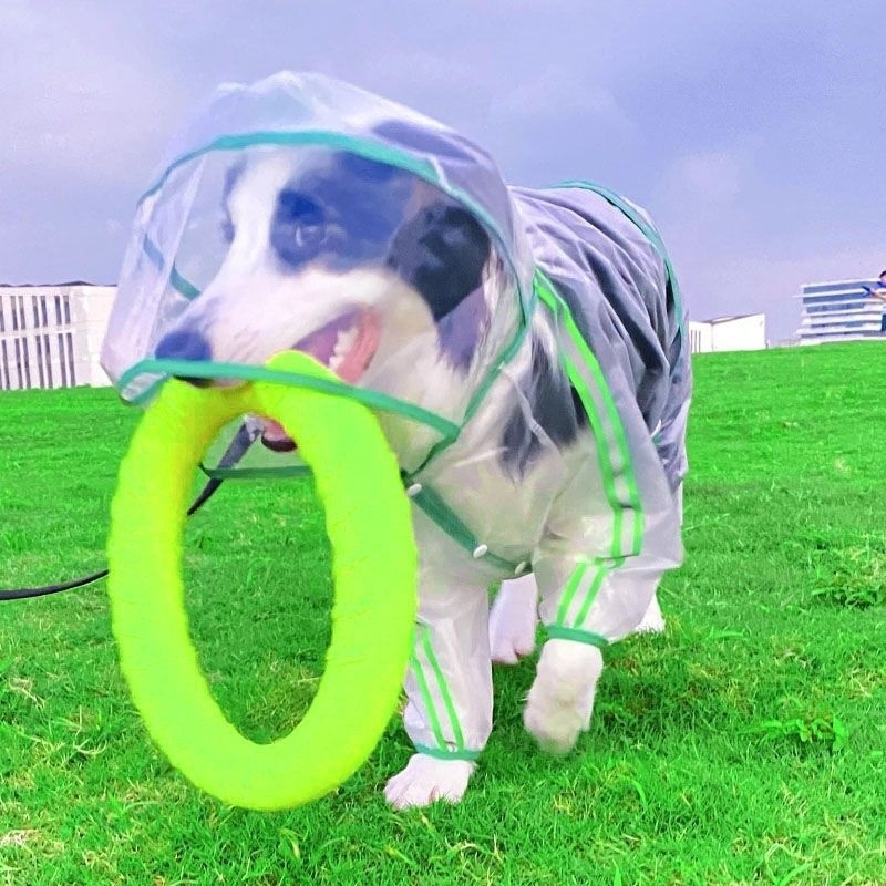 4d7d2202-aeca-4262-ae7a-283bd5e9d904.jpe