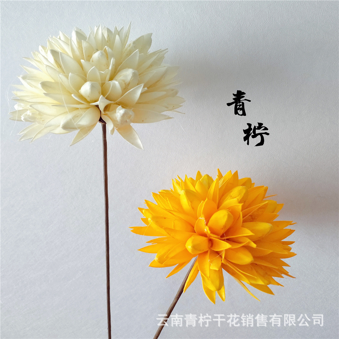 3E147AF057F3A763333C5D1F767A7A