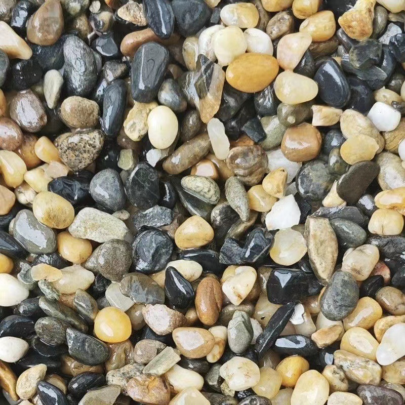 216bc01b-0614-4bf5-8cbd-890c1edc612c.jpe