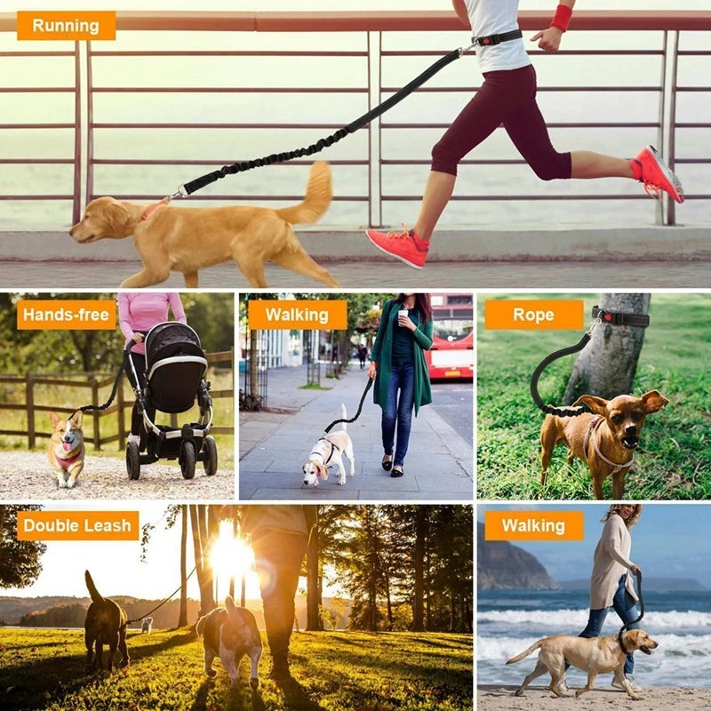 Pet-Dog-Cat-Leash-Traction-Rop