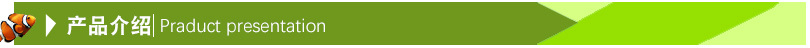 产品介绍
