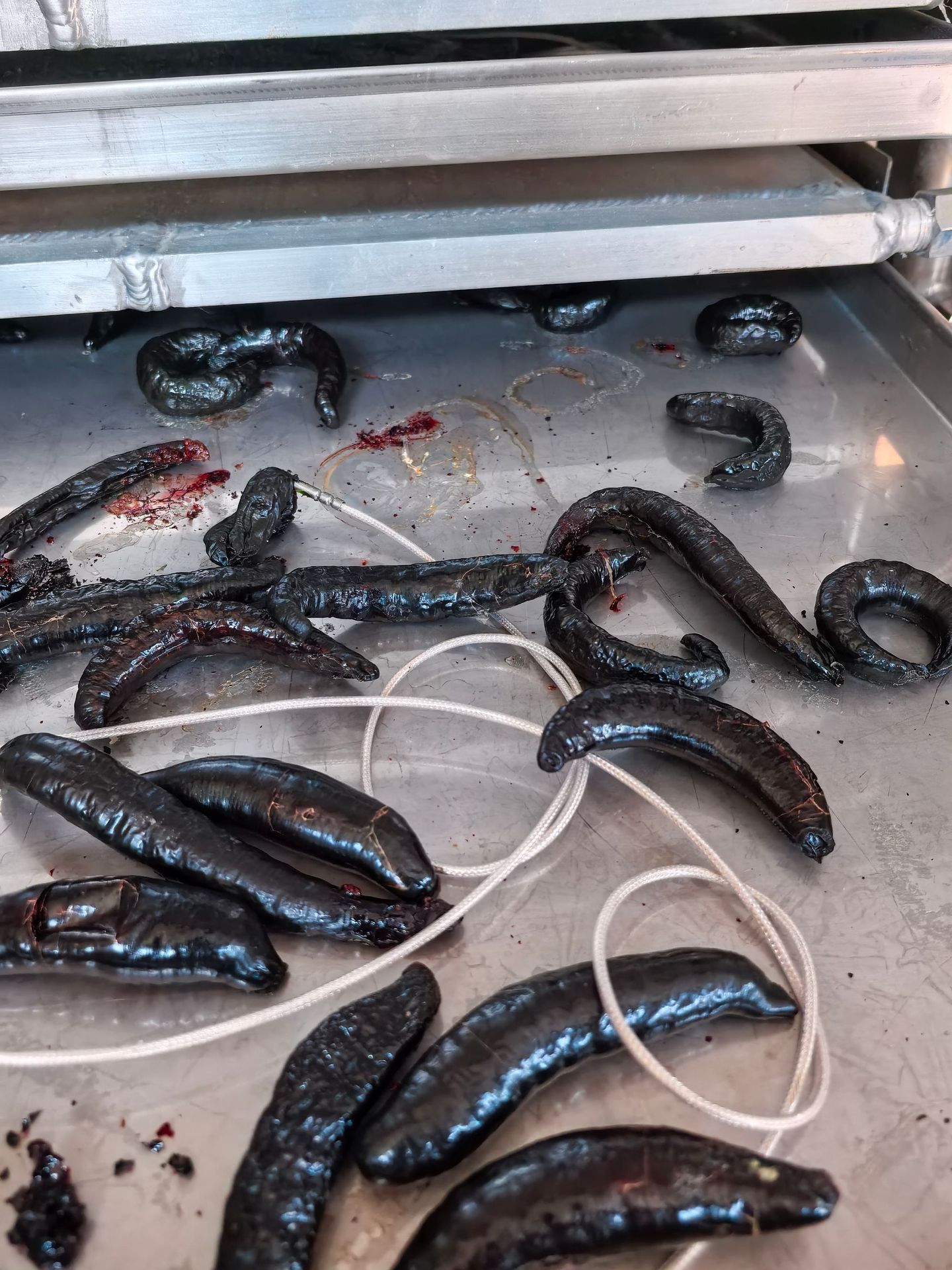 微信图片_20250520142743