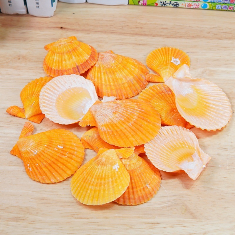 4b00e197-d8d5-479d-8827-39cc5e796d7c.jpe