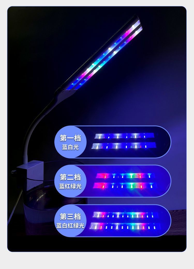 54e95e37-f0bd-4863-a2a8-878bd2ce8741.jpe