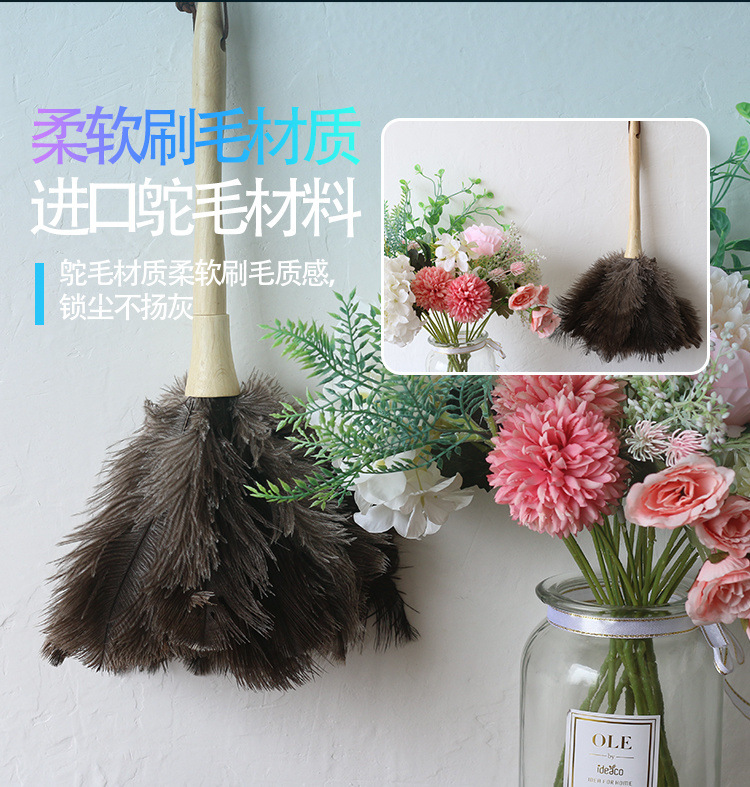 8708e800-9ddb-4a26-98b9-7545044cab18.jpe