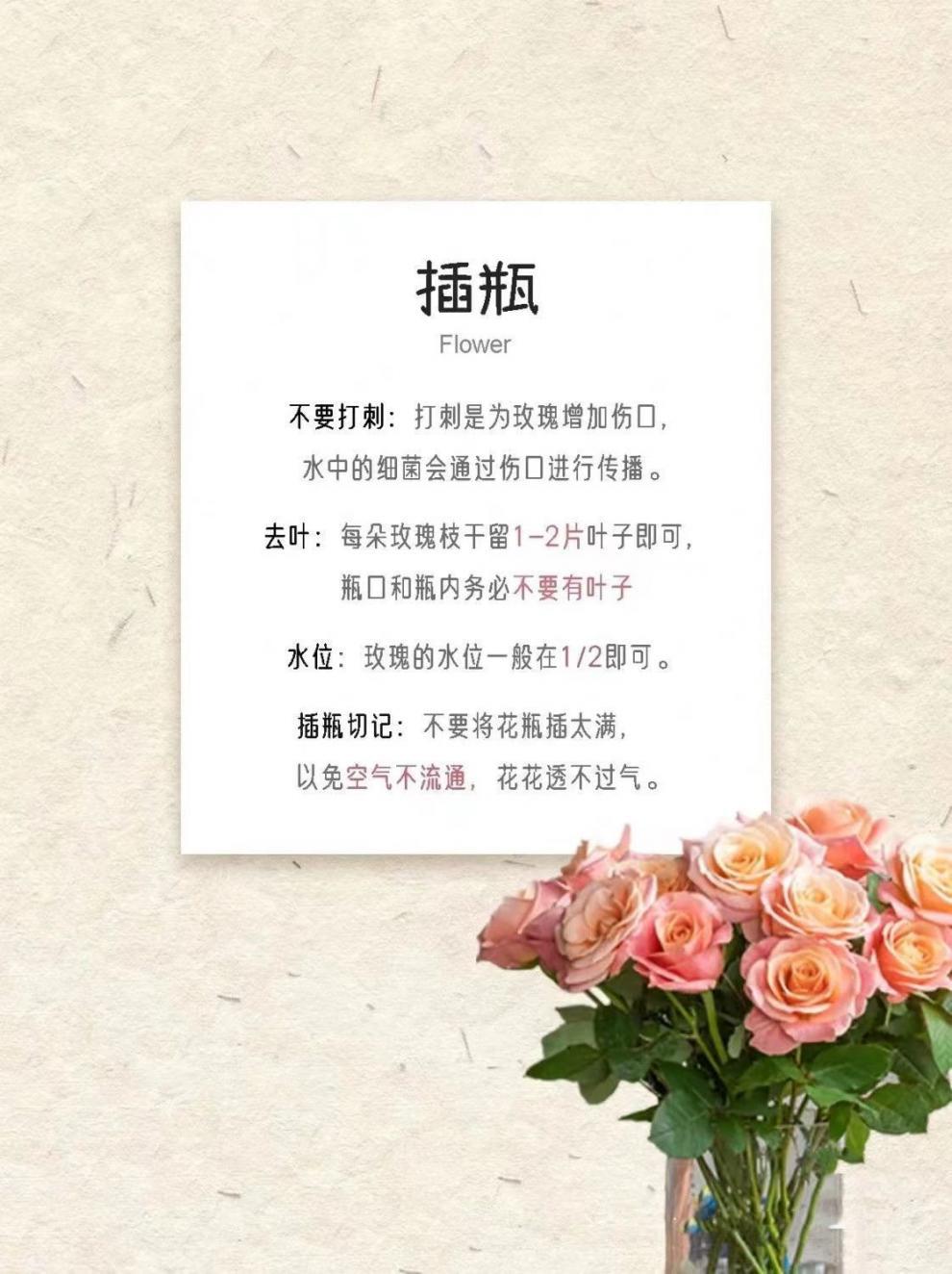 6df0d37a-21b0-42eb-a857-271724811f34.jpe