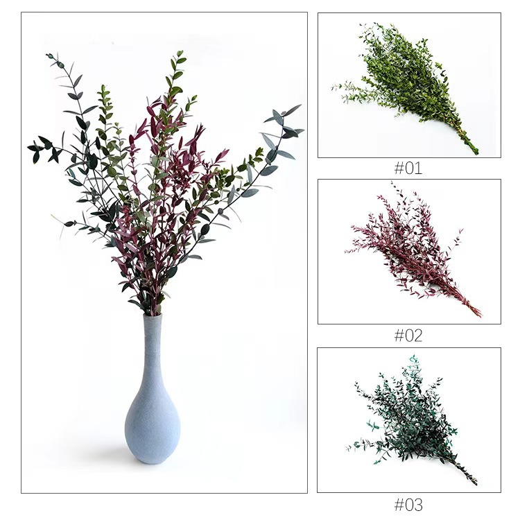 微信图片_20240720093034