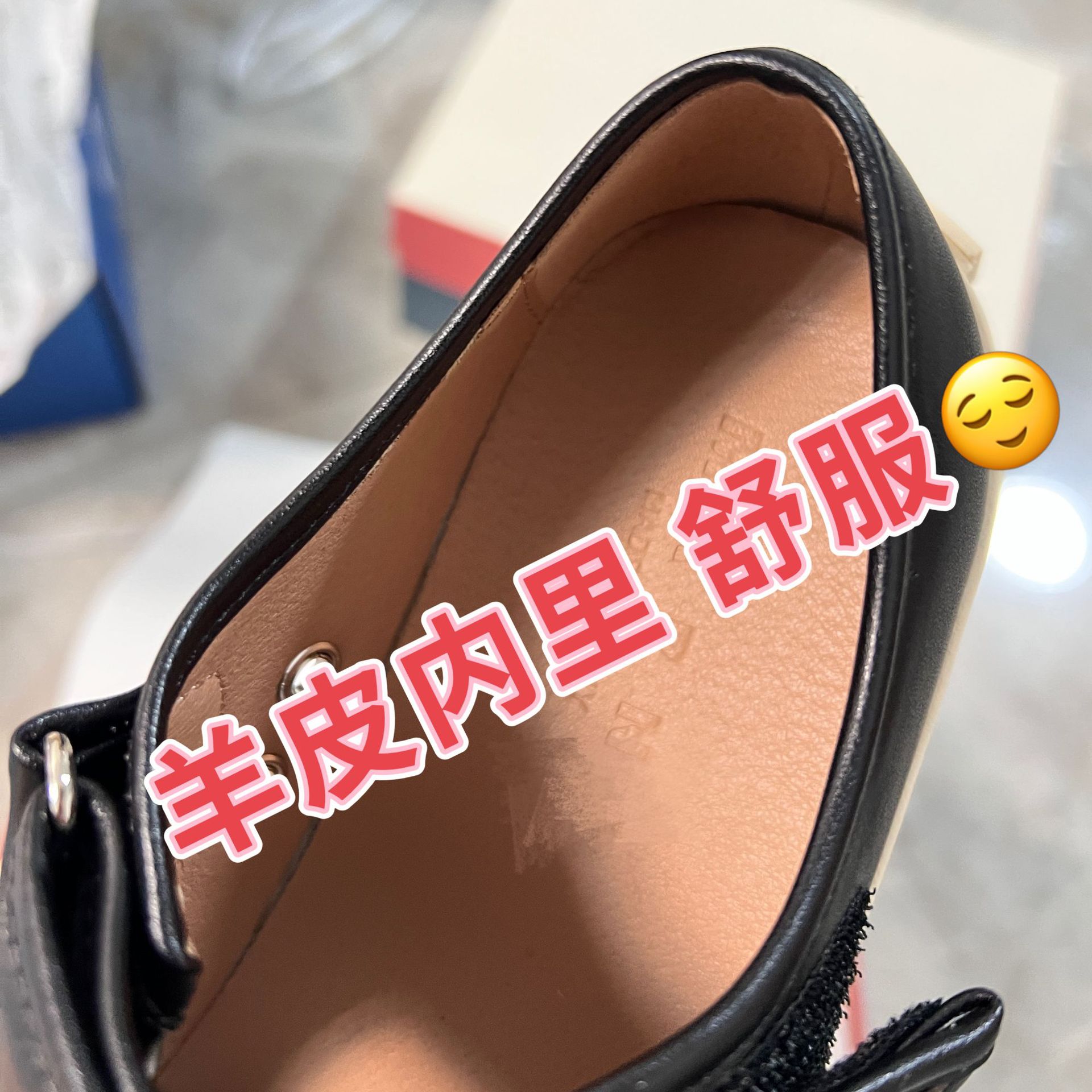 IMG_2772(20230522-155512)