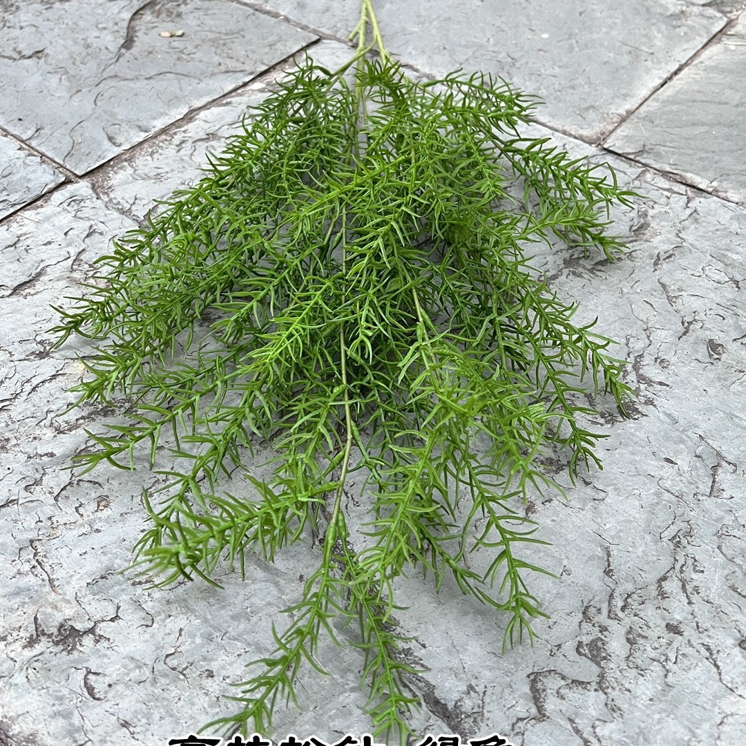 2025-11-04 13:19:59.jpg