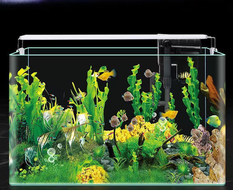 f0d4b317-49bc-4340-91de-a26aa4158e4e.jpe