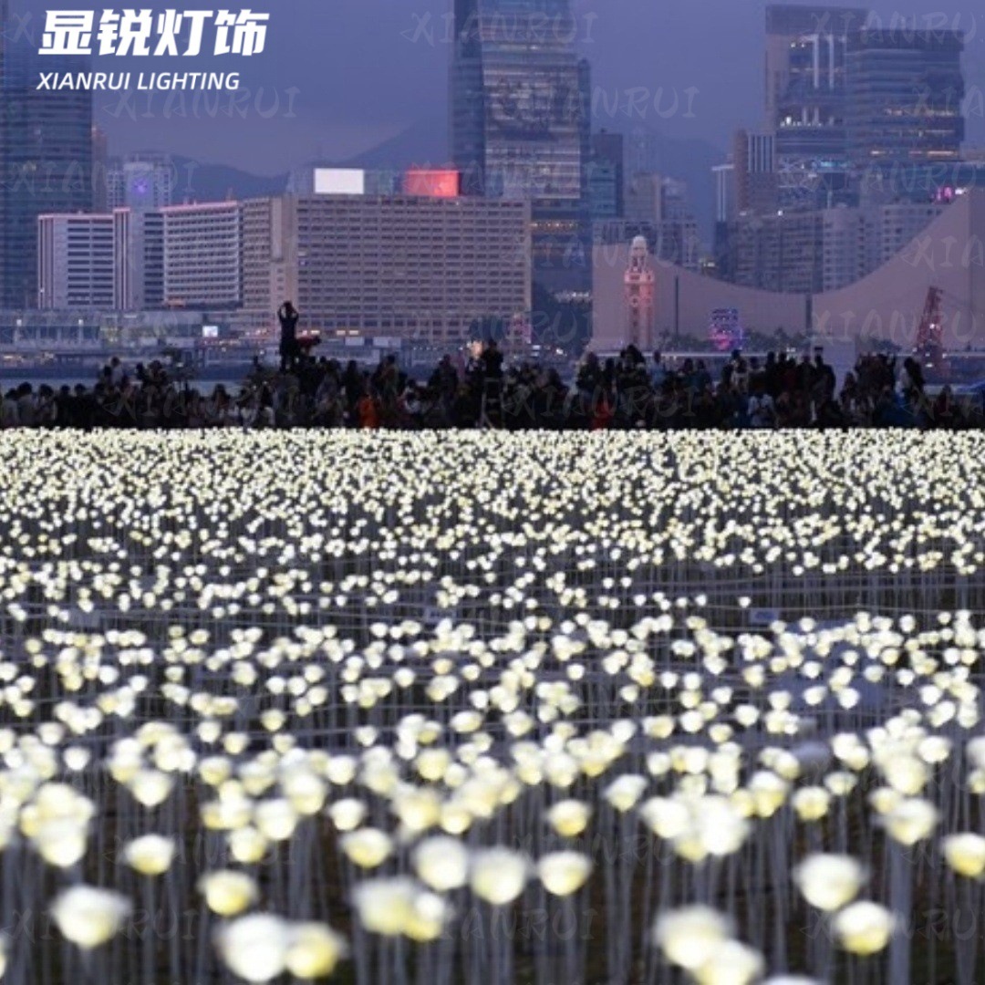 O1CN015teIbG1shXQgeKVeZ_!!2212