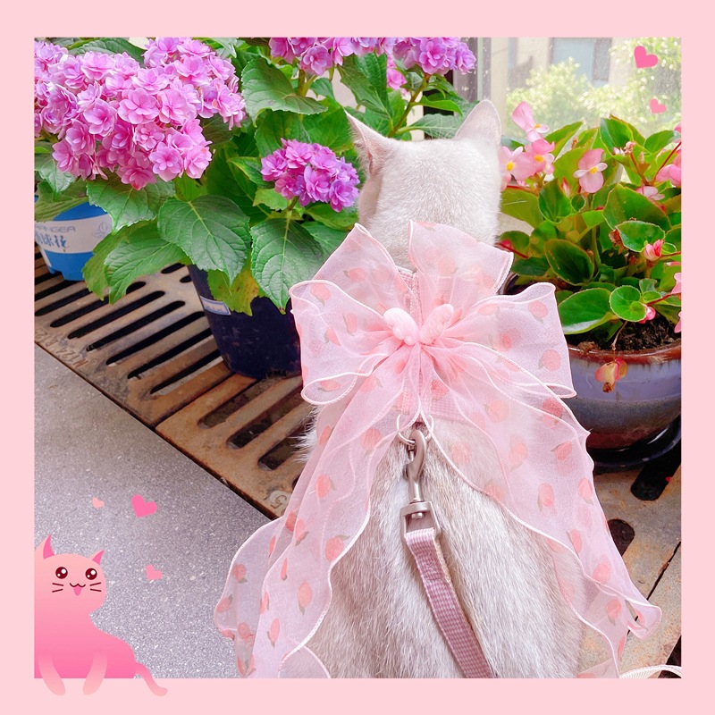 IMG_4738(20220617-151633)_副本