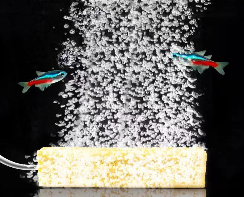 608af138-359c-4a26-b6f2-c59eb433049e.jpe