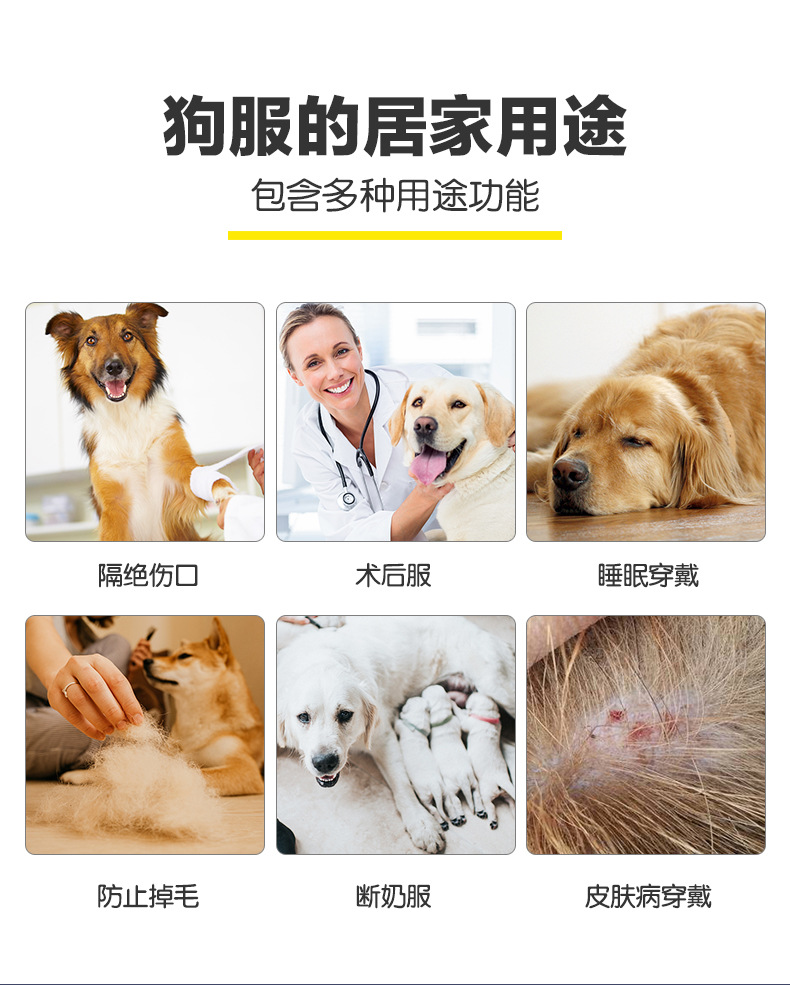 大狗四脚-详情_02