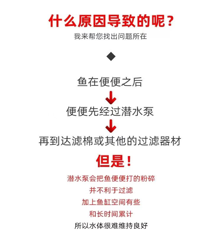 4303e79d-09ed-4014-a8e7-254399d39aad.jpe