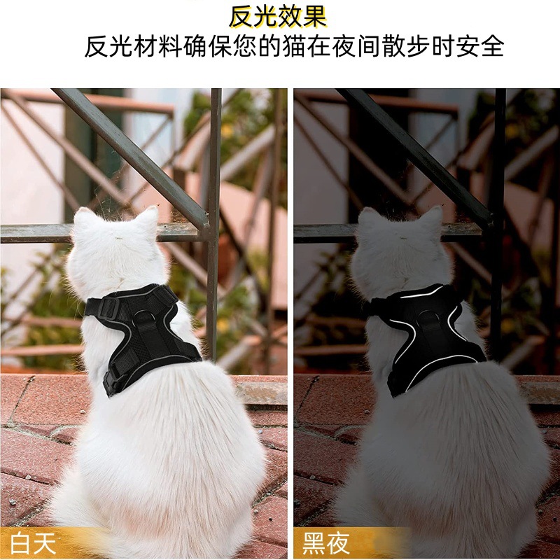 71lQF9U+ZxS._AC_SL1500__副本