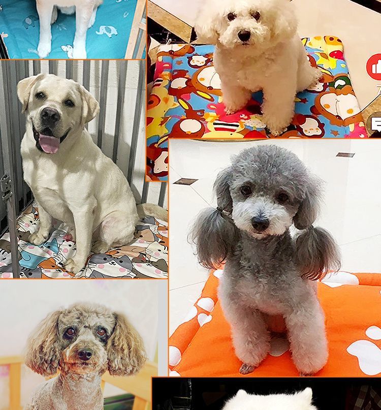 5b366ee4-282a-49f7-ad5b-25d18607dfef.jpe