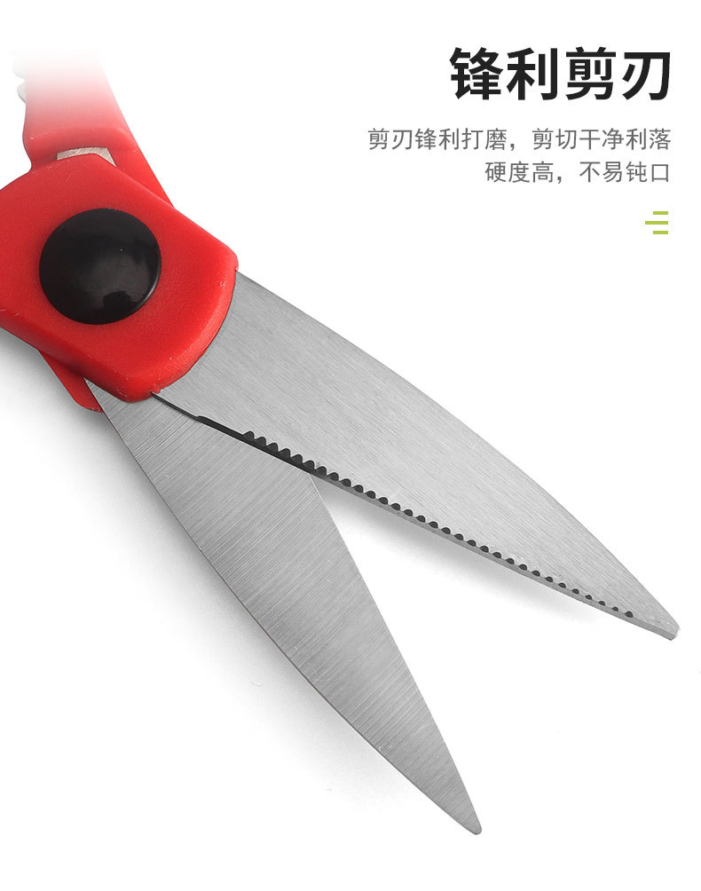 未标题-1_06.jpg