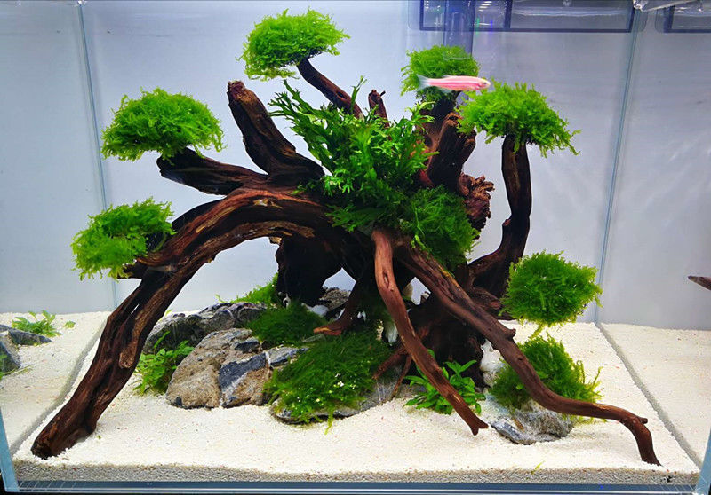 a9be8a96-0bb8-4346-8ea3-e149e42a6c82.jpe