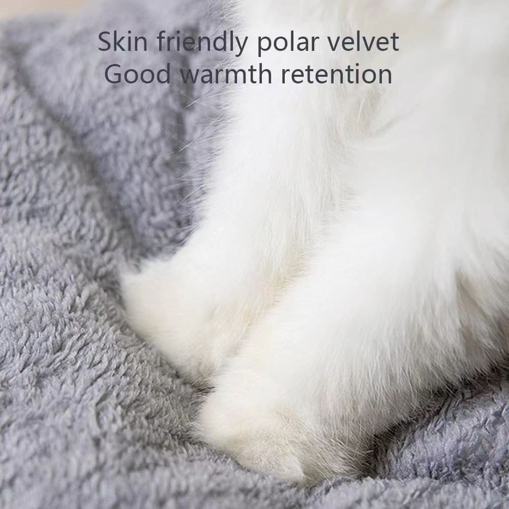 微信图片_20240907112538