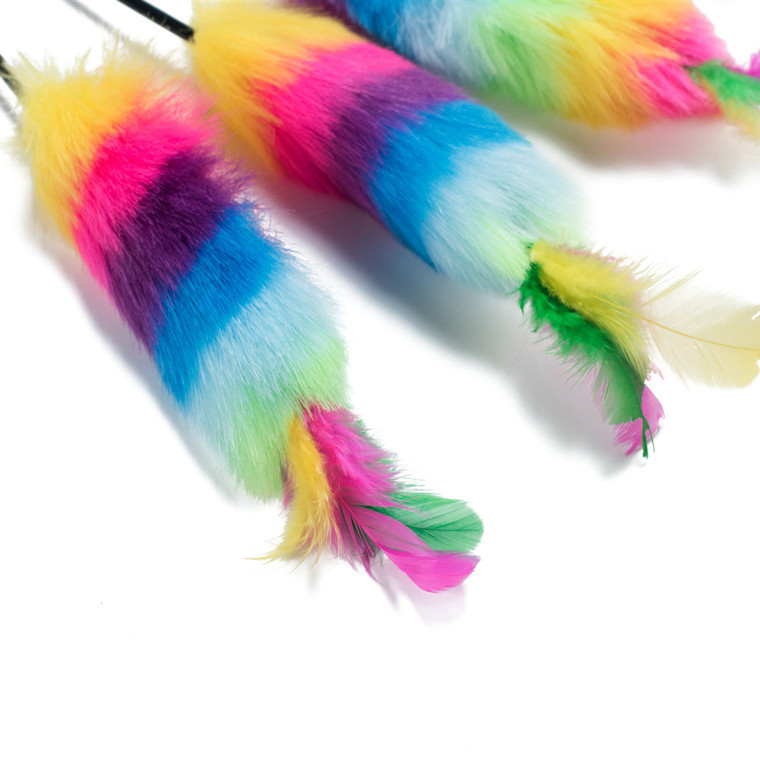 11332146423_710608776