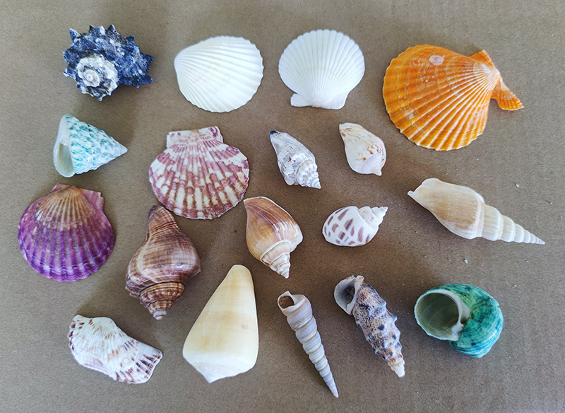 6个不重复详情1