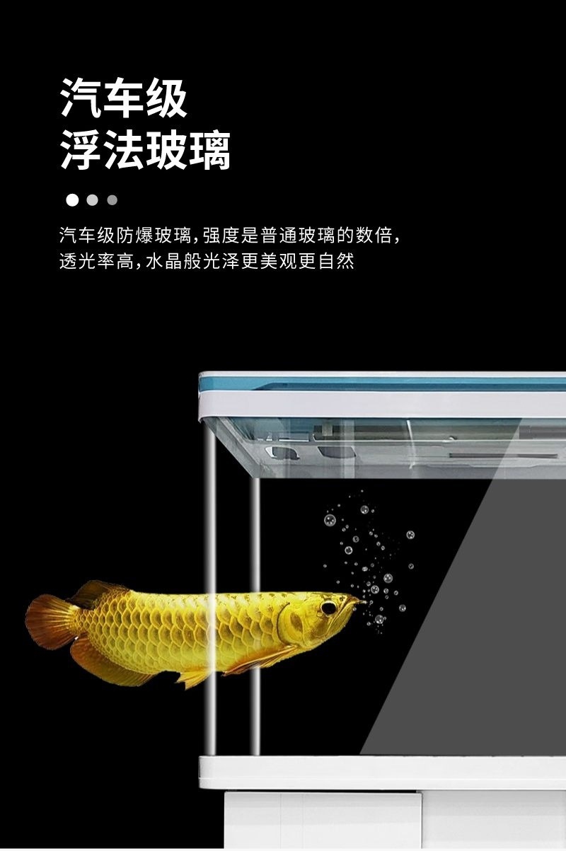 9894ae52-791f-4e6e-bb0e-e1957cd64e6e.jpe