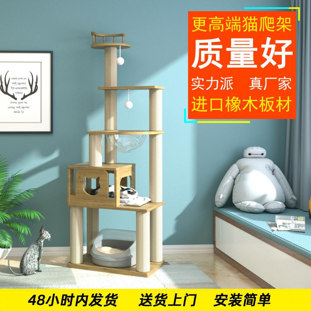 fdc9bd32-33e8-469a-b76c-18c90e4d86cd.jpe