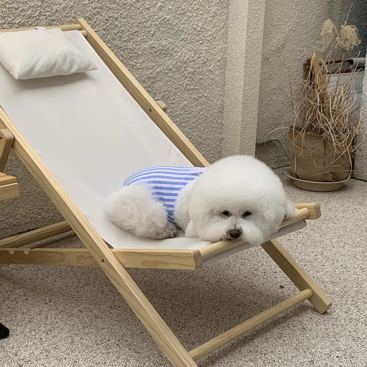 微信图片_20230530161735