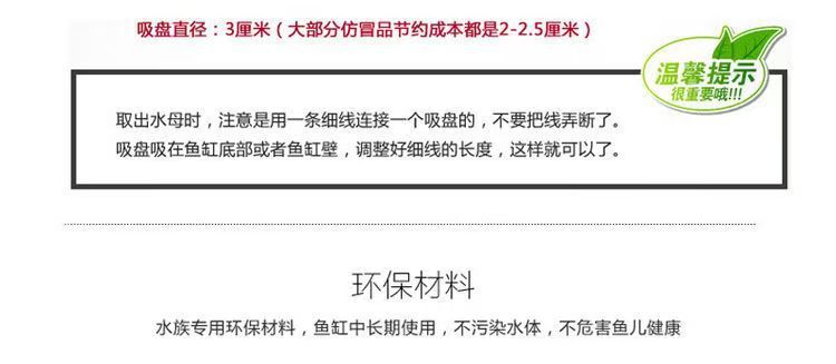 8a8847c4-a56b-40b3-a39b-ece99d313eb2.jpe