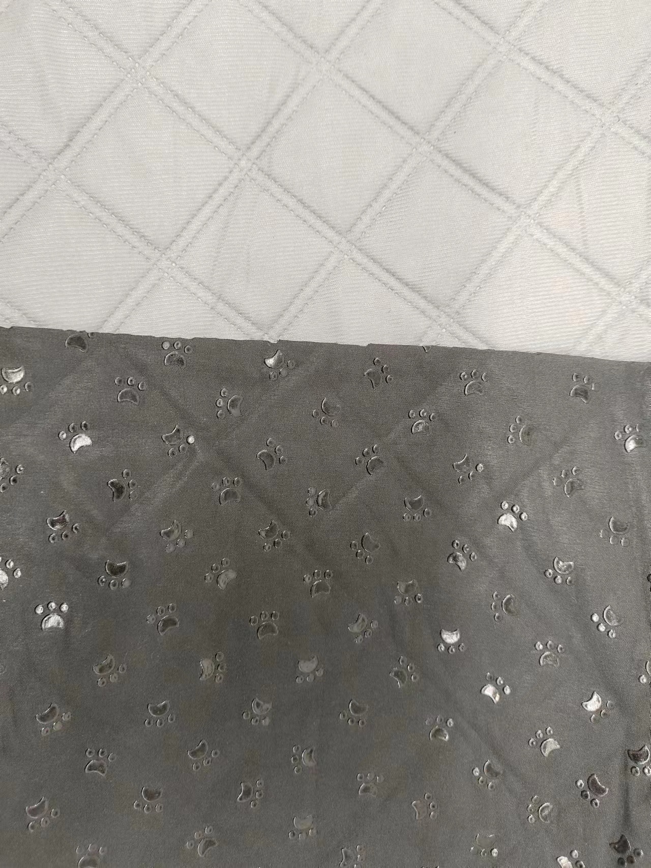 浅灰狗爪滴塑