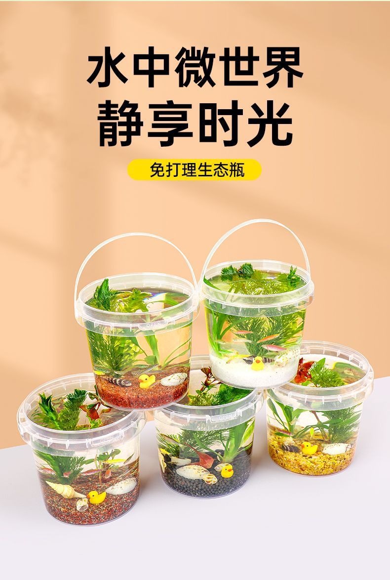 e651148a-8a24-416a-a04f-694a3371fcd2.jpe