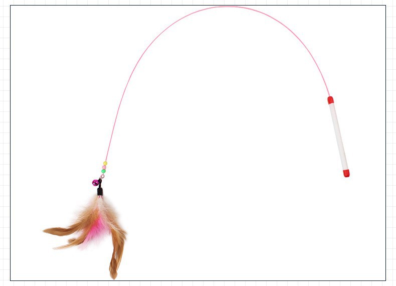 9713330736_181355791