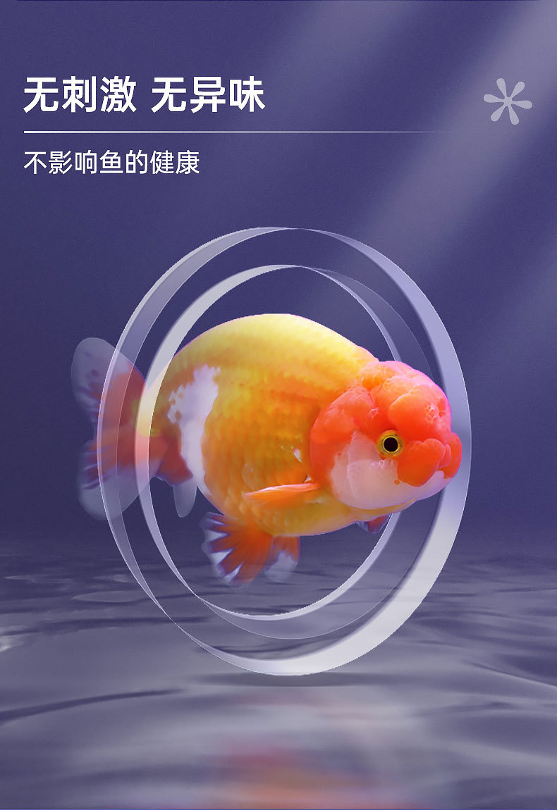 详情_08.jpg