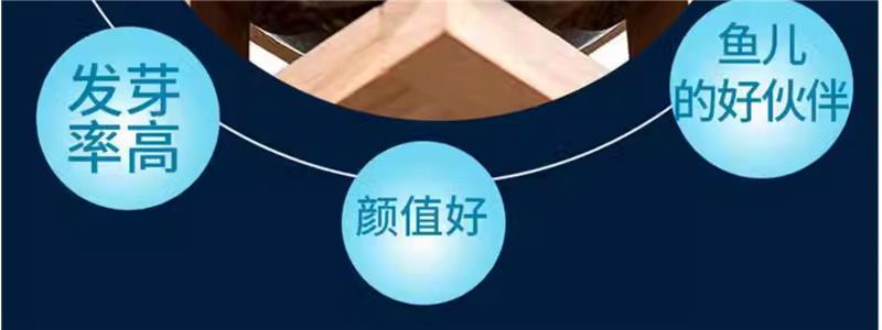 详情图片_7