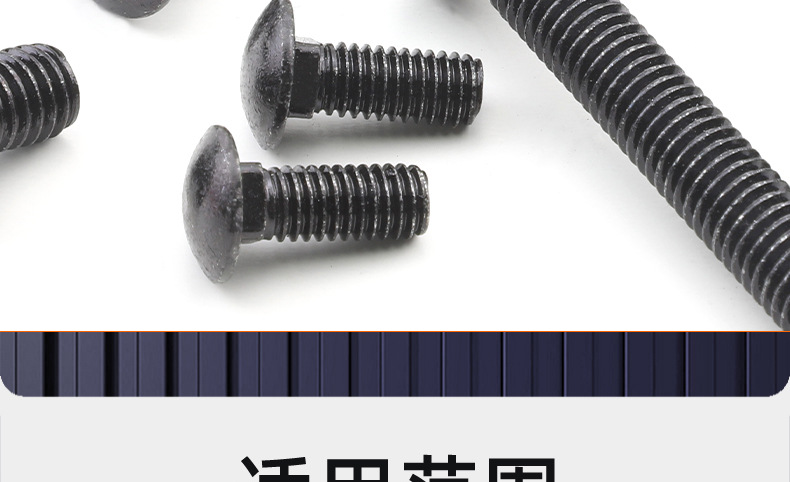 黑色304不锈钢马车螺栓_03_20.jpg