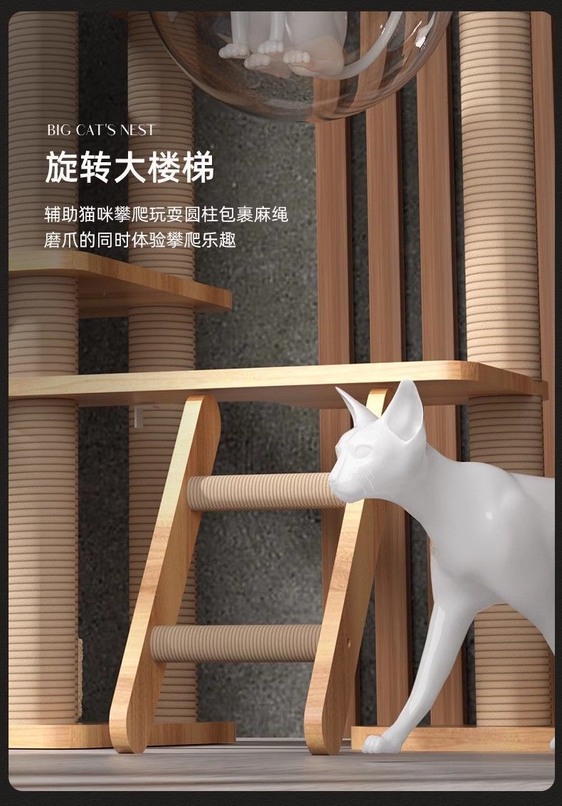 54f70a58-08b1-42c9-a31f-a100baad1e6a.jpe