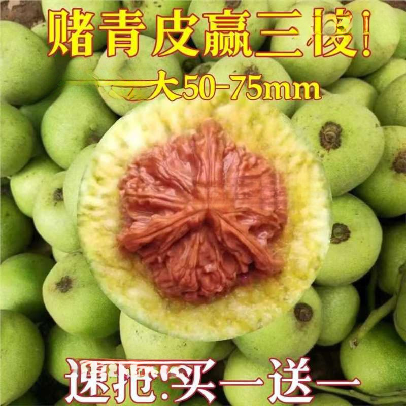 O1CN01FKfXuS1PWQtWhN3HK_!!2218003511848-