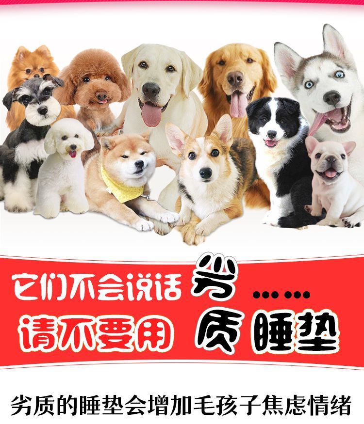 69234169-845d-4b63-87a6-943de8dee906.jpe