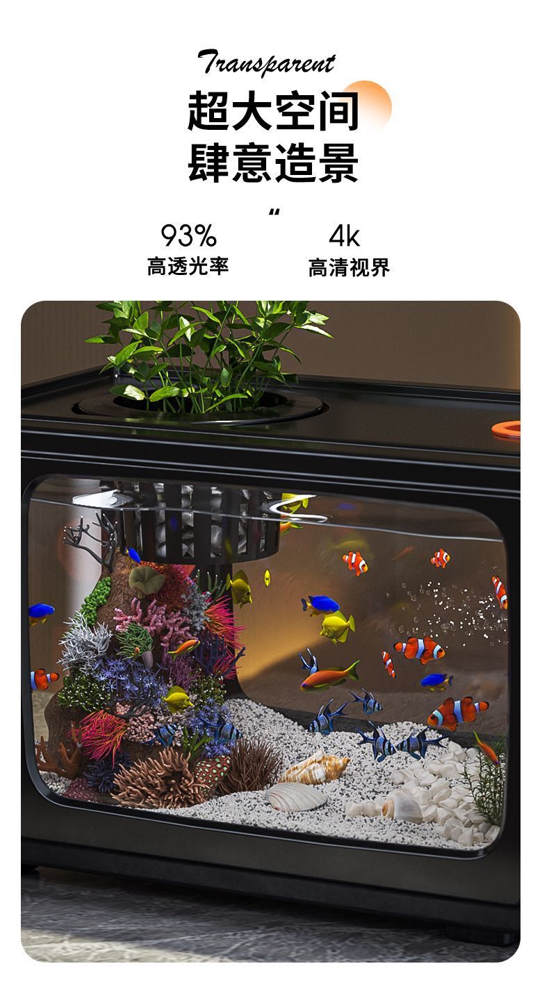 3291d2ce-3933-40b1-a3ff-827a7ab6e70b.jpe