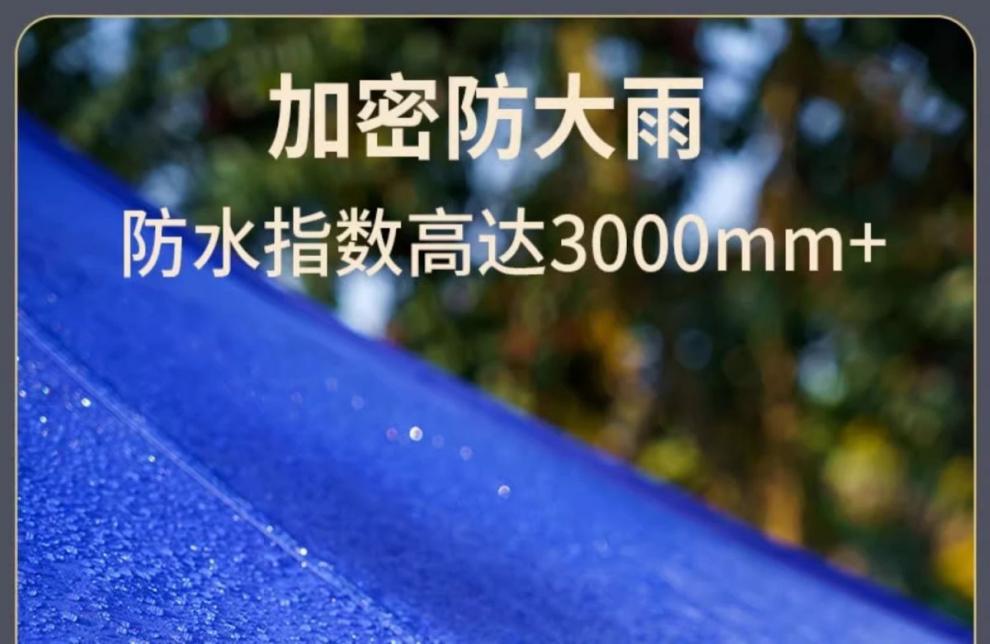 fe1ee702-0f97-45a5-8221-c5f48ea1ee2e.jpe