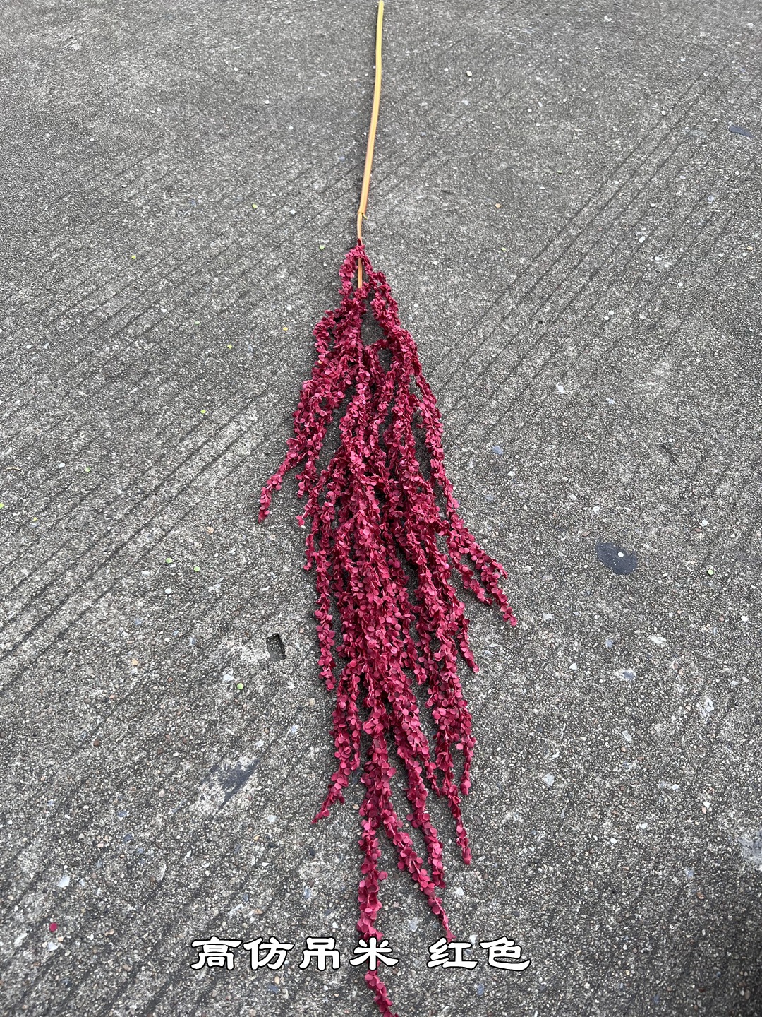 微信图片_20231030195631