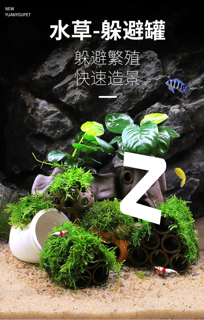 fa88b58c-b331-45ea-b73b-dff21f188bb7.jpe