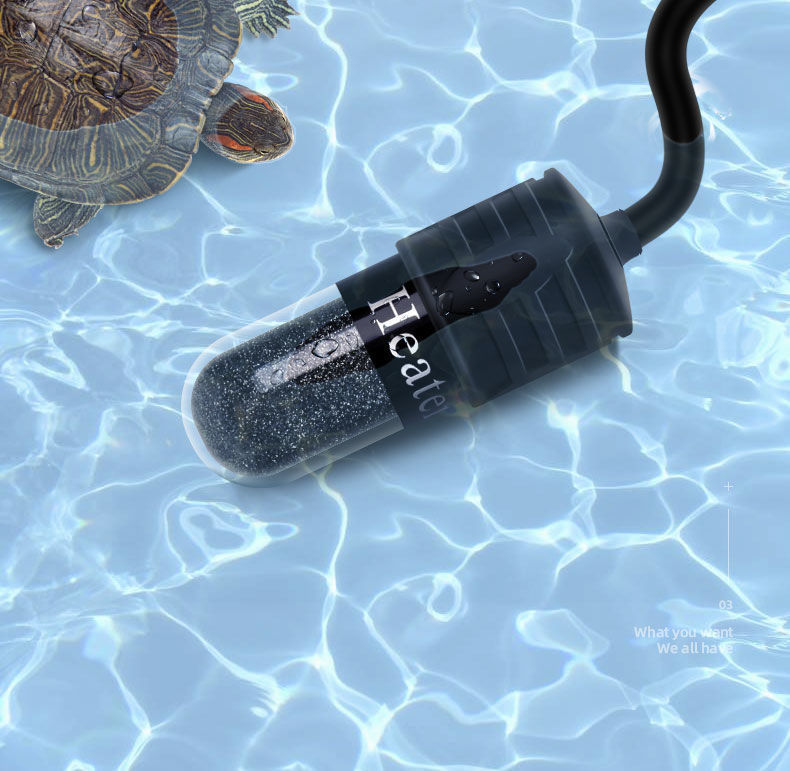 21e81c2d-32b4-4e7e-8d05-7ad2f6a6cb72.jpe