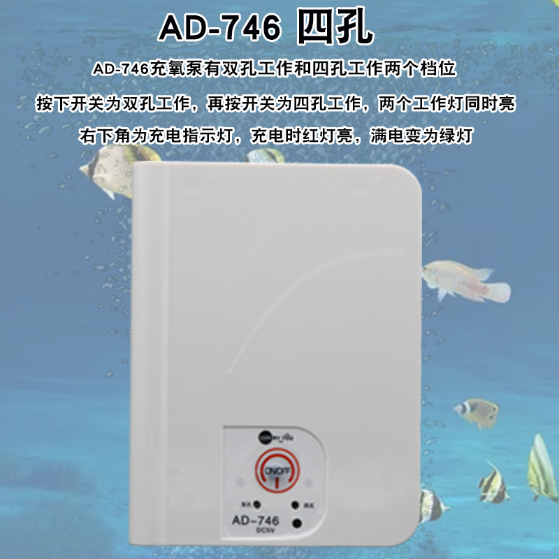 详情6.jpg