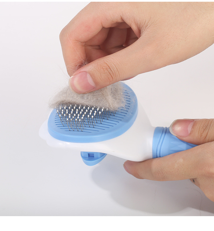 997df4ad-577e-4487-af05-4617a26e26ac.jpe