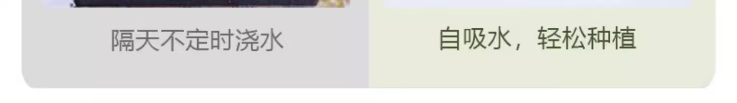 O1CN01eEOCC91qv9muIEOil_!!2214