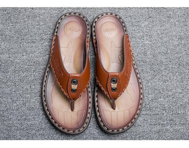 a05c991d-fb65-495e-812a-1a5bc401b1d1.jpe