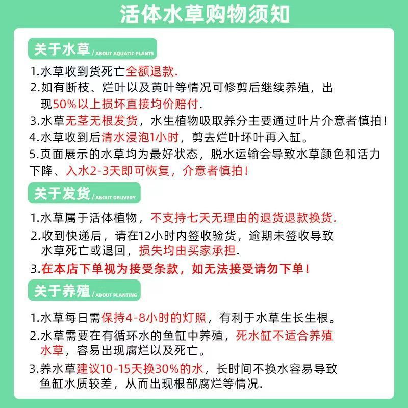 c1f19b94-1feb-440e-9e2e-f1b63abc4ab2.jpe