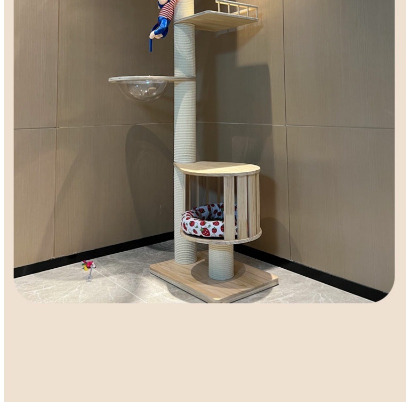 8d022a5c-b854-482c-aa1a-d47e58ffffd4.jpe